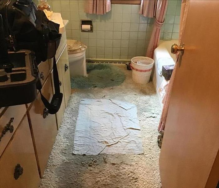 Picture of a bathroom with water soaked, carpeted floor