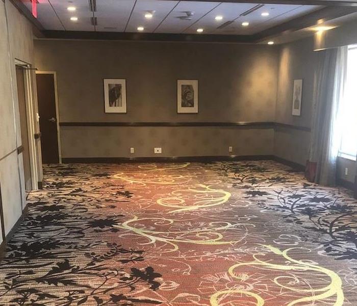 Picture of dried & restored carpet in hotel conference room