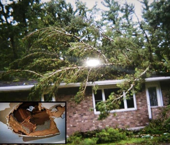 Tree on roof and hole in living room ceiling