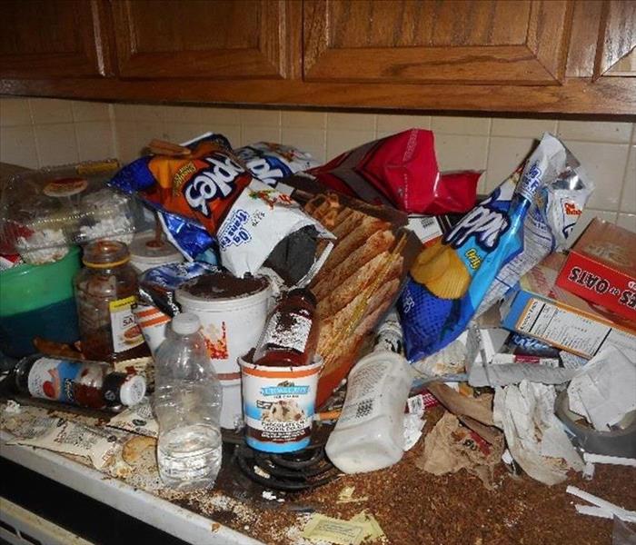 Picture of a kitchen counter in a hoarding situation