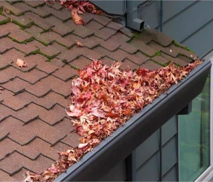 Picture of a gutter with leaves & debris in it